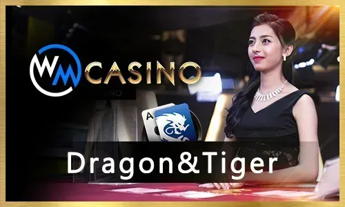 niceph Sabong Betting